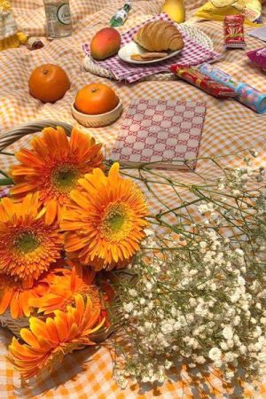 Casual Day Outfits, Easy Trendy Outfits Cottagecore Aesthetic Gingham Tablecloth