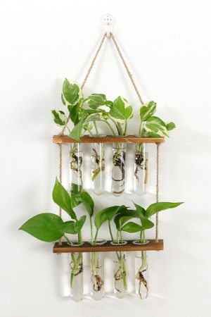 Casual Day Outfits, Easy Trendy Outfits Plant Mom Hanging Vase