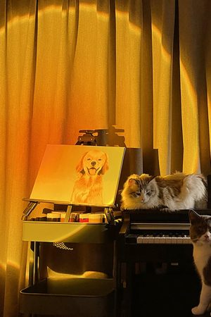 Casual Day Outfits, Easy Trendy Outfits The Sunset Projector