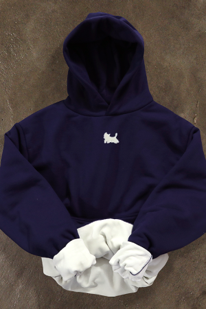 Warm Silver Fox Fleece Long Sleeve Hooded Sweatshirt for Women - Thick American Style, Cozy and Stylish Fall Essential