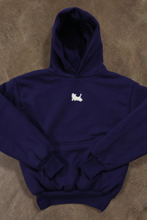 Warm Silver Fox Fleece Long Sleeve Hooded Sweatshirt for Women - Thick American Style, Cozy and Stylish Fall Essential