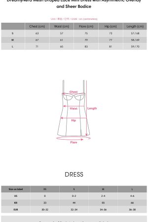 DreamyNerd Mesh Draped Lace Mini Dress with Asymmetric Overlay and Sheer Bodice