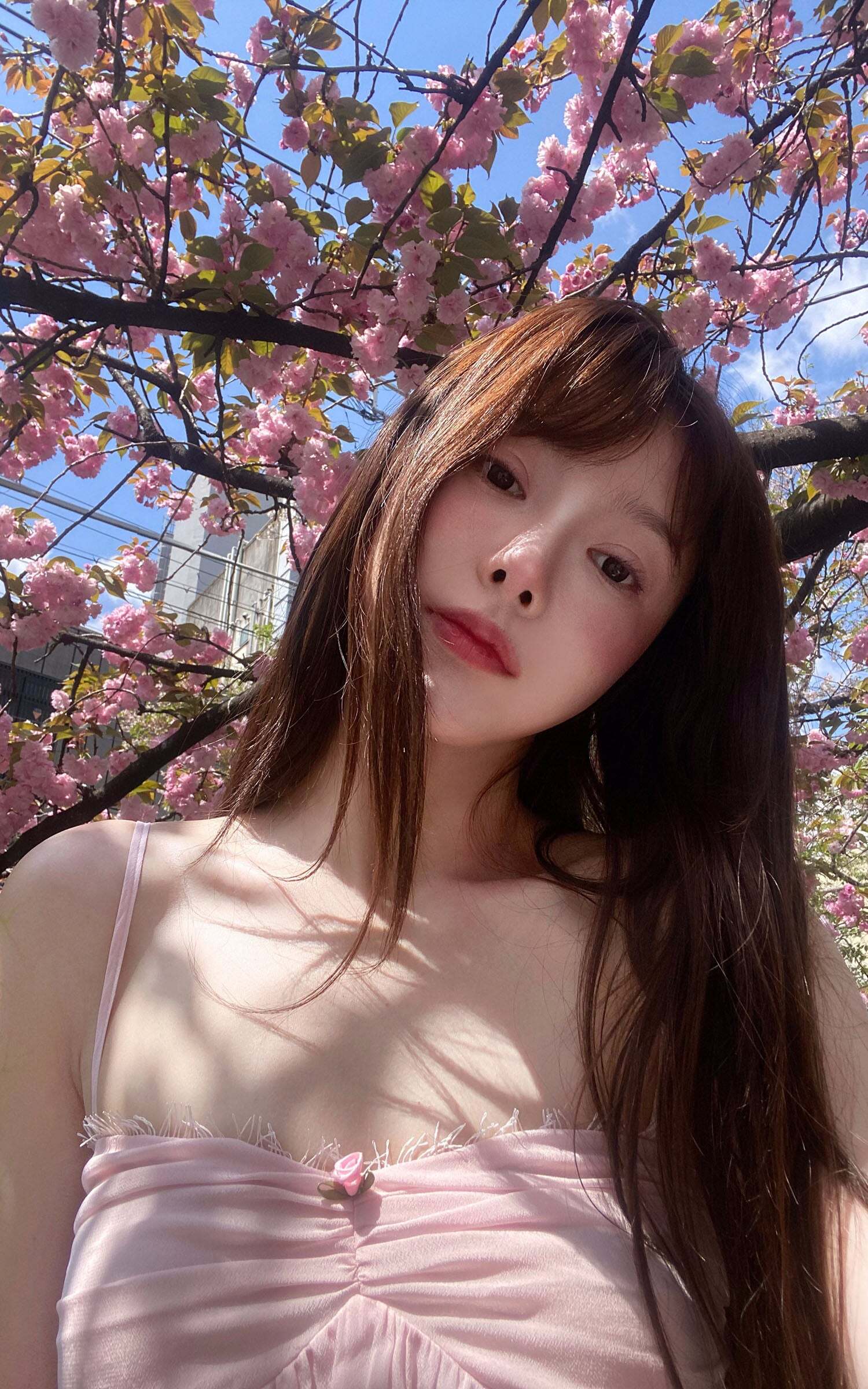 DreamyNerd Rosebud Chiffon Camisole DreamyNerd Rosebud Chiffon Camisole