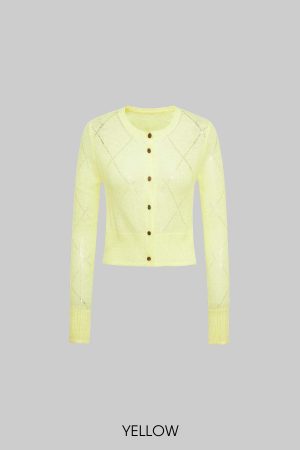 IAMXIAA Sheer Knit Button Up Cardigan