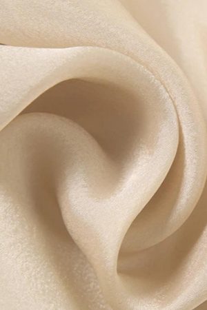 Sheer Backless Crop Top