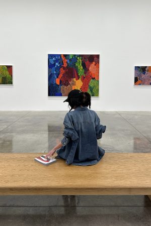 WARDEN EDGE Denim Layered Set – Jacket, Shorts & Tank