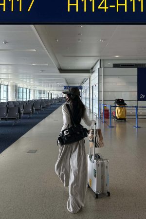 WARDEN EDGE Drawstring Wide Stripe Pants in Washed Linen