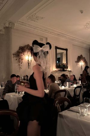 WARDEN EDGE French-Inspired Corset Puff Dress