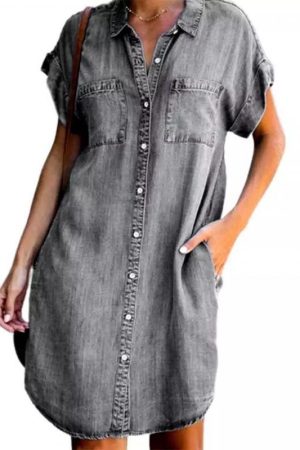 Blue Collar Short Sleeve Slim Dress